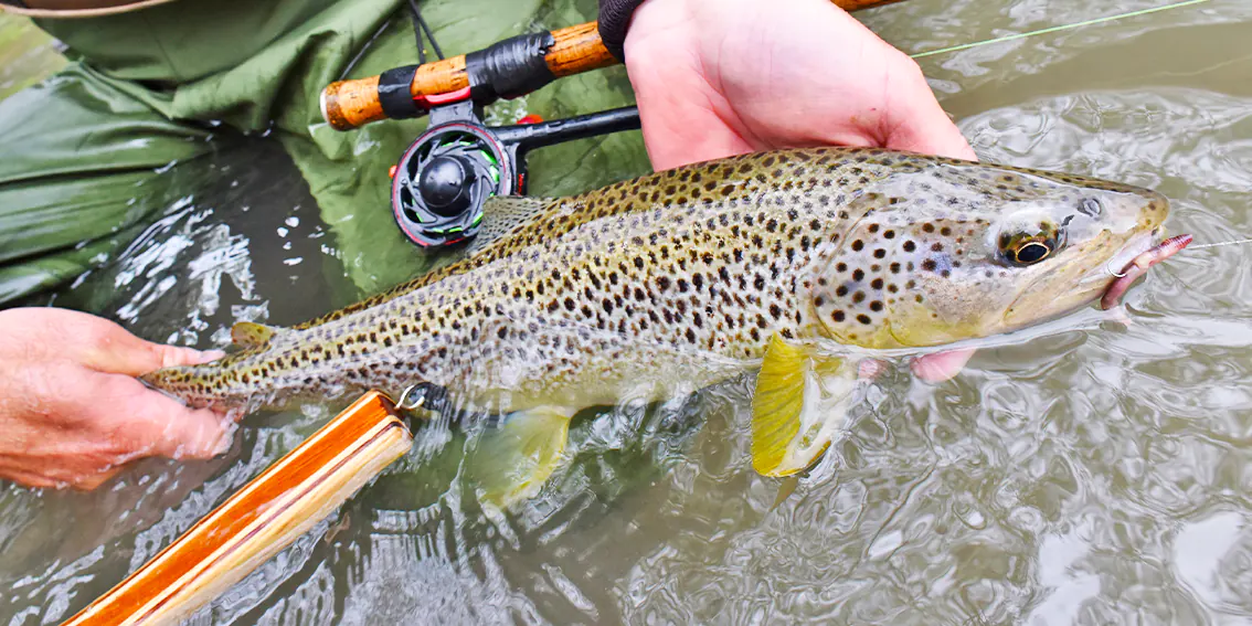 frederic steffan xtreme pyrenea fishing moniteur guide de peche appats naturels toc dans les pyrenees atlantiques 64 gave oloron navarenx gave du saison tardets les nives saint jean pied de port hautes pyrenees 65 gave de pau argeles gazost lourdes saint lary arreau luz saint sauveur cauterets