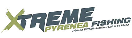 logo moniteur guide de peche truite mouche nymphe seche toc leurre dans les pyrenees 64 65