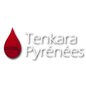 logo tenkara pyrenees