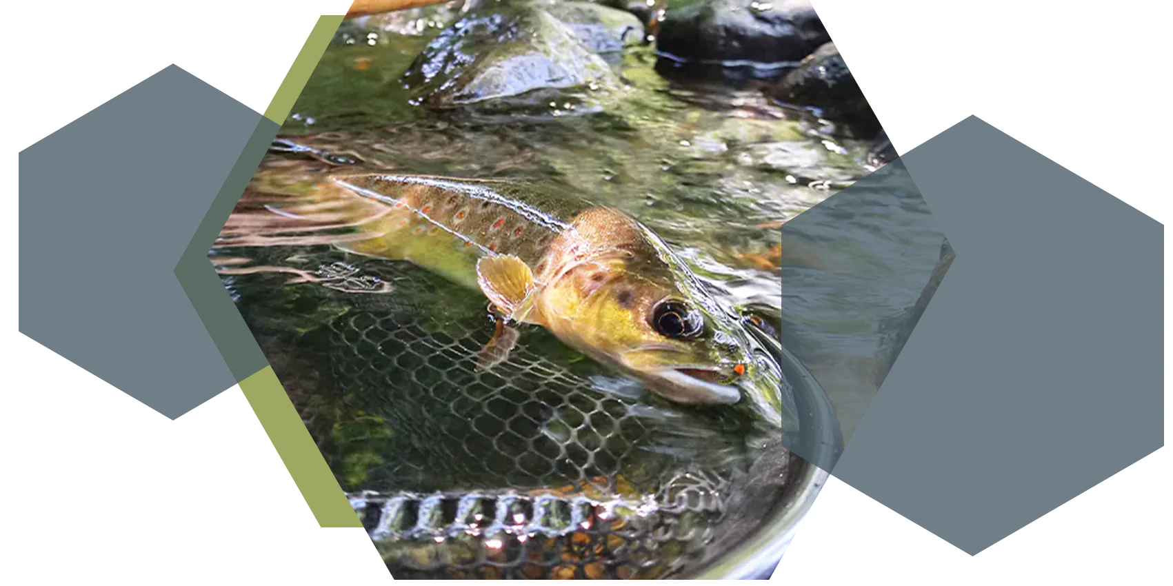 xtreme pyrenea fishing stage guidega peche truite nymphe au fil toc seche pyrenees atlantiques 64 gave oloron navarenx gave du saison tardets les nives saint jean pied de port hautes pyrenees 65 gave de pau argeles gazost lourdes saint lary arreau luz saint sauveur cauterets